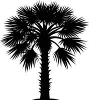 Palmetto tree silhouette on white background vector
