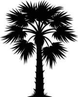 Palmetto tree silhouette on white background vector