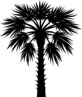 Palmetto tree silhouette on white background vector