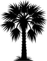 Palmetto tree silhouette on white background vector
