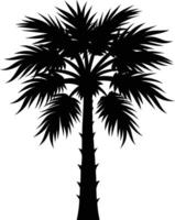 Palmetto tree silhouette on white background vector