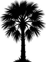 Palmetto tree silhouette on white background vector