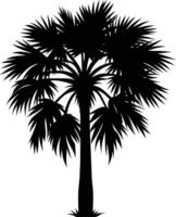Palmetto tree silhouette on white background vector