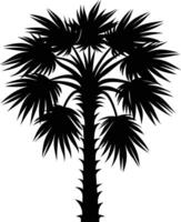 Palmetto tree silhouette on white background vector