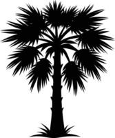 Palmetto tree silhouette on white background vector