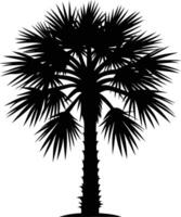 Palmetto tree silhouette on white background vector