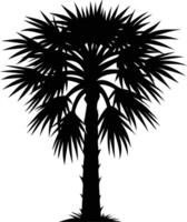 Palmetto tree silhouette on white background vector