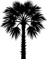Palmetto tree silhouette on white background vector