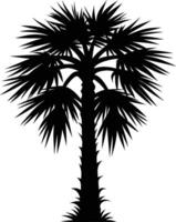 Palmetto tree silhouette on white background vector
