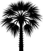 Palmetto tree silhouette on white background vector