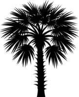 Palmetto tree silhouette on white background vector