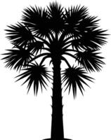 Palmetto tree silhouette on white background vector