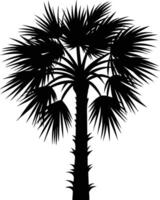 Palmetto tree silhouette on white background vector