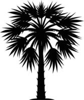 Palmetto tree silhouette on white background vector