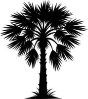 Palmetto tree silhouette on white background vector