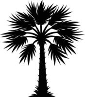Palmetto tree silhouette on white background vector