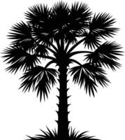 Palmetto tree silhouette on white background vector