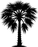 Palmetto tree silhouette on white background vector