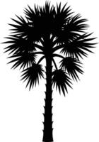 Palmetto tree silhouette on white background vector
