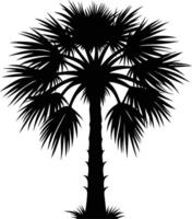 Palmetto tree silhouette on white background vector