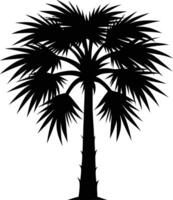Palmetto tree silhouette on white background vector