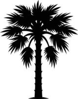 Palmetto tree silhouette on white background vector