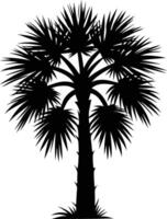 Palmetto tree silhouette on white background vector