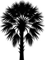 Palmetto tree silhouette on white background vector
