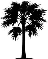 Palmetto tree silhouette on white background vector