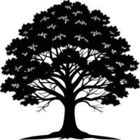A black and white silhouette of a oak tree vector