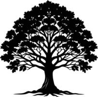 A black and white silhouette of a oak tree vector