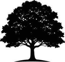A black and white silhouette of a oak tree vector