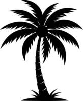 A palm tree silhouette on white background vector