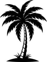 A palm tree silhouette on white background vector