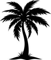 A palm tree silhouette on white background vector