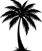 A palm tree silhouette on white background vector