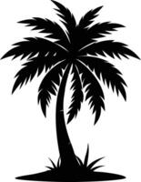 A palm tree silhouette on white background vector