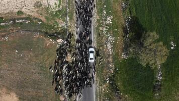 Nomaden Autobahn Drohne Fahrzeug video