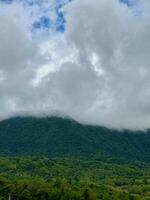 A view of a hill covered in trees and fog photo