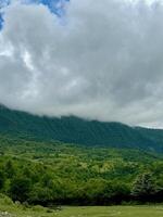 Mountain covered with trees in the foggy clouds photo