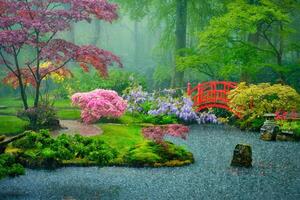 Japanese garden, Park Clingendael, The Hague, Netherlands photo