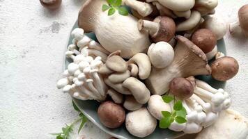 Assortment of various raw mushrooms on gray concrete background video