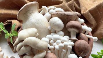 Assortment of various raw mushrooms on gray concrete background video