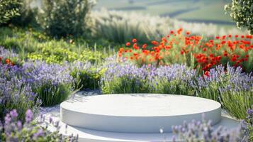 A round concrete platform surrounded by blooming lavender and red poppies in a lush garden under bright sunlight. photo
