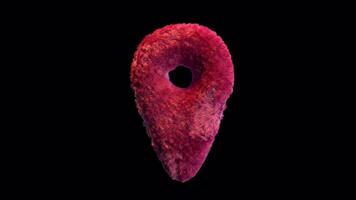 Plush Map Social Media Icon Alpha Loop video