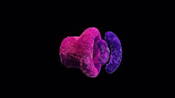 Plush Sound Social Media Icon Alpha Loop video