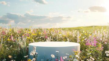 A sunny afternoon in a colorful wildflower meadow featuring a white circular podium amidst blooming flowers. photo