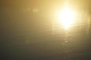 Sun reflecting in lake at sunset - close-up photo