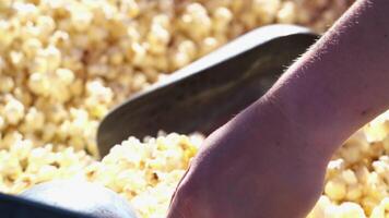 Stir popcorn Cooking Popcorn popping on heated fry pan. Slow Motion. Making Popcorn Frying it in a Stove at Home. Exploding Popcorn Kernels over Hot Oil. High quality 4k footage video