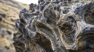 An upclose shot of the unique texture and shape of a basalt column with intricate patterns caused by the lava cooling process photo